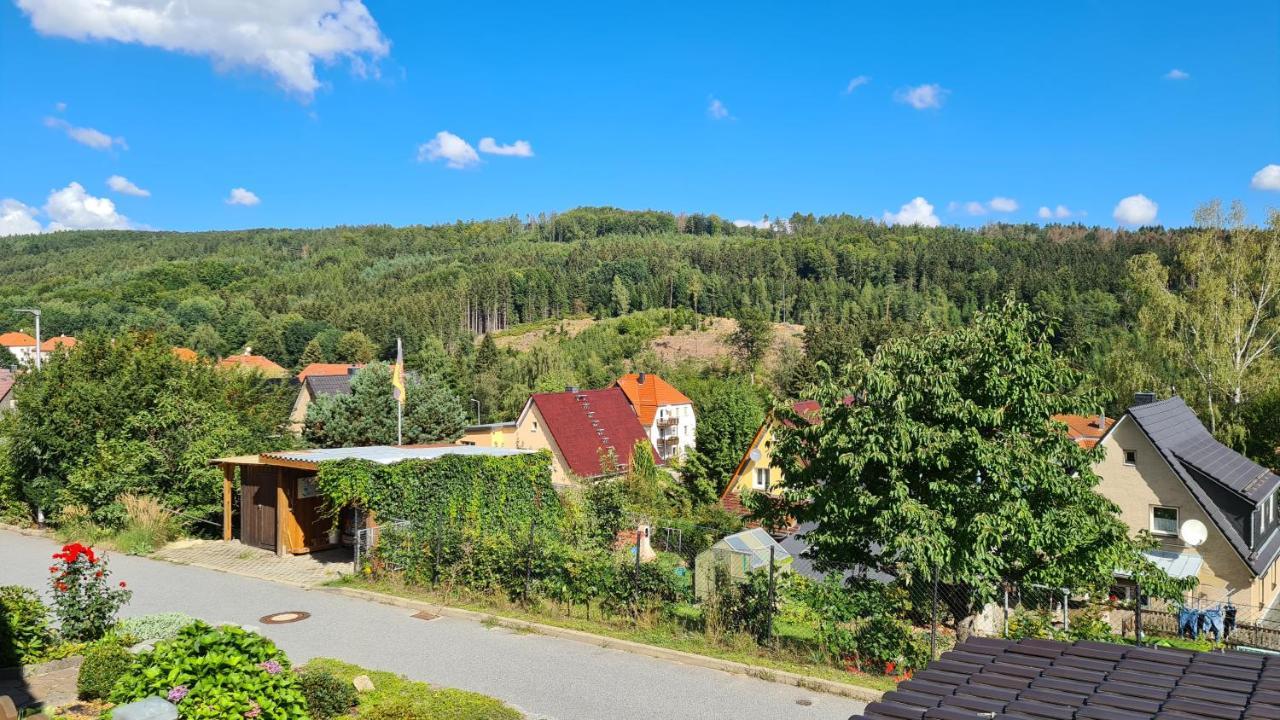 Ferienhaus Marx Sebnitz Exteriör bild