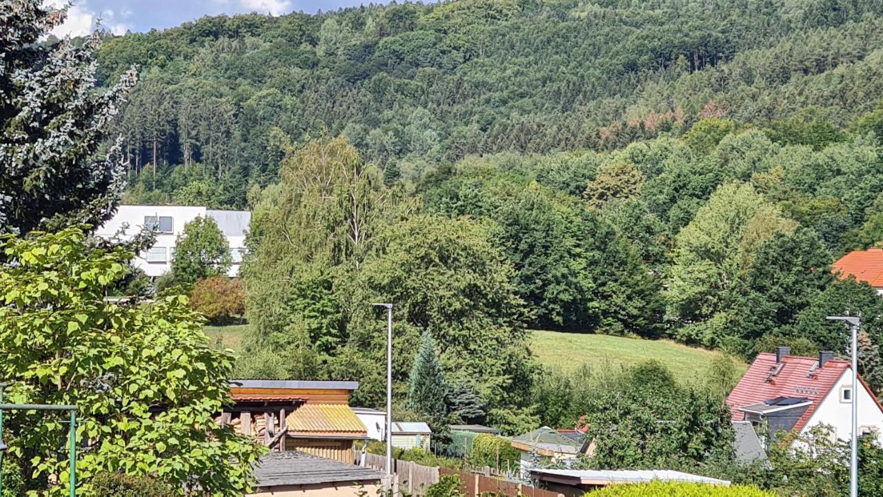 Ferienhaus Marx Sebnitz Exteriör bild